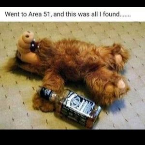 Meet your Posher, Ronaldeverett